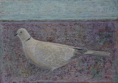 I am the Collared Dove by Ruth Addinall
